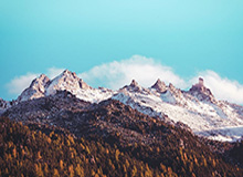 开云下载-【直播】时间推荐Cat当TTG教练：现在肯定贼便宜，而且他对比赛很真诚