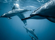 必一运动：让每日动起来成为生活的底色